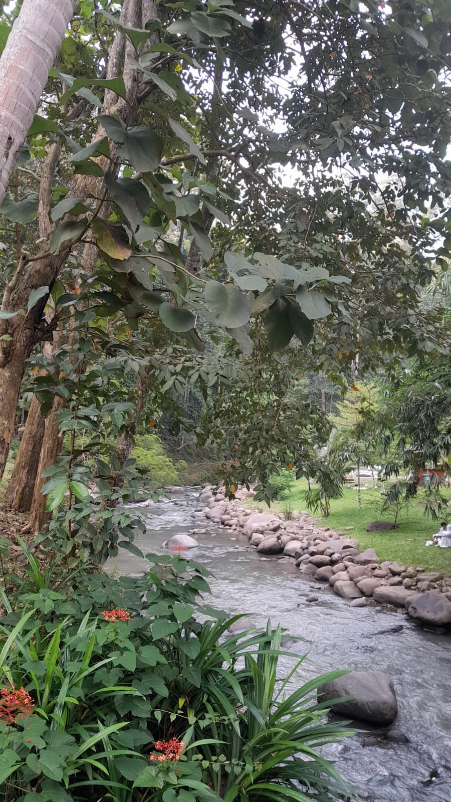 Wira Garden